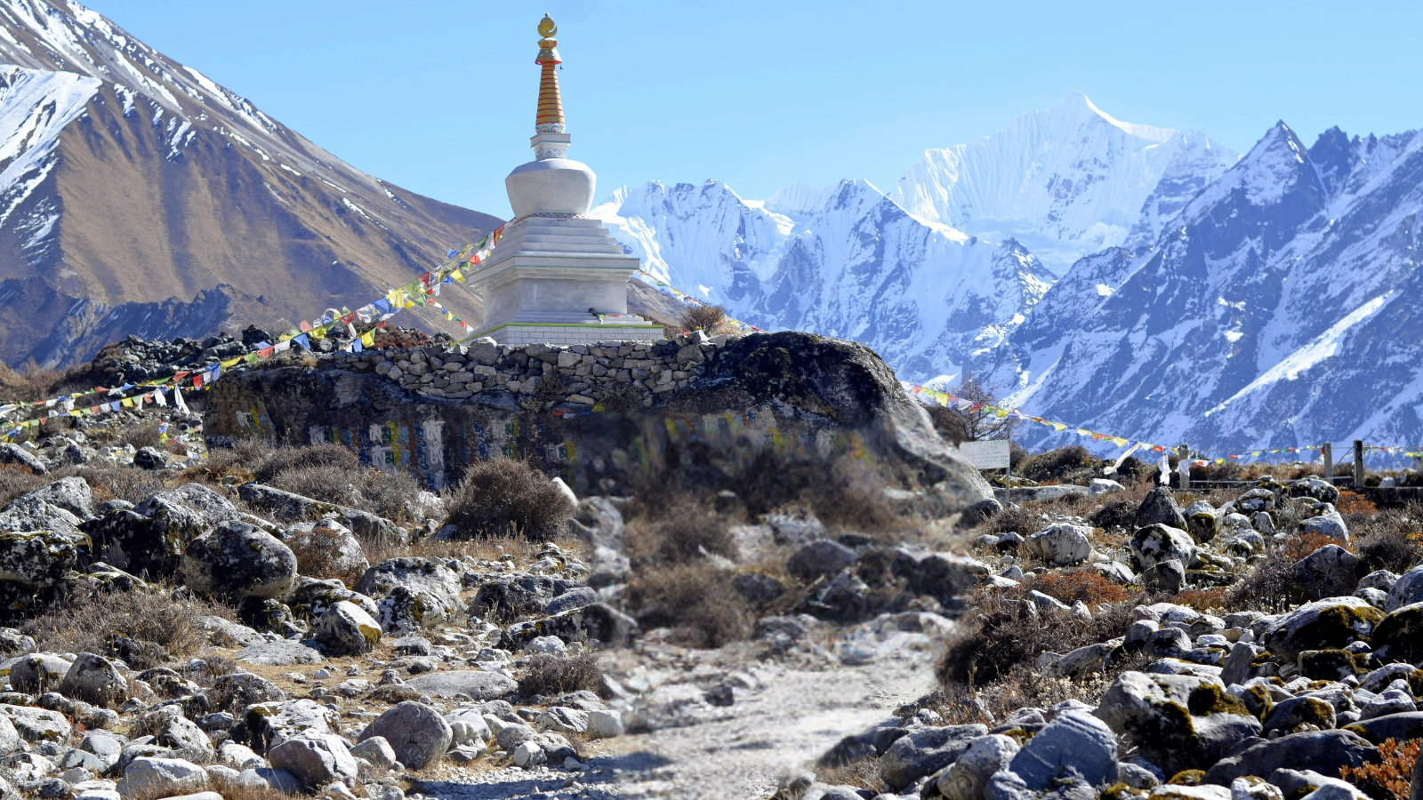 10 Best Monsoon Treks in Nepal: Dry & Green Trails